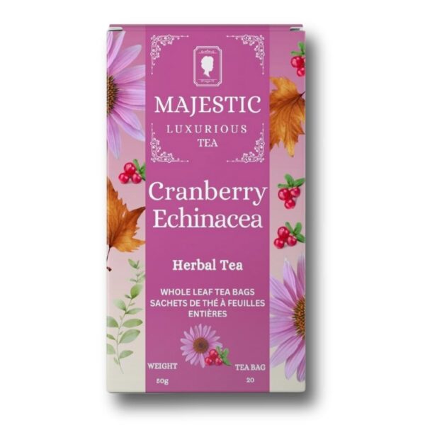 ECHINACEA CRANBERRY ECHINACEA CRANBERRY