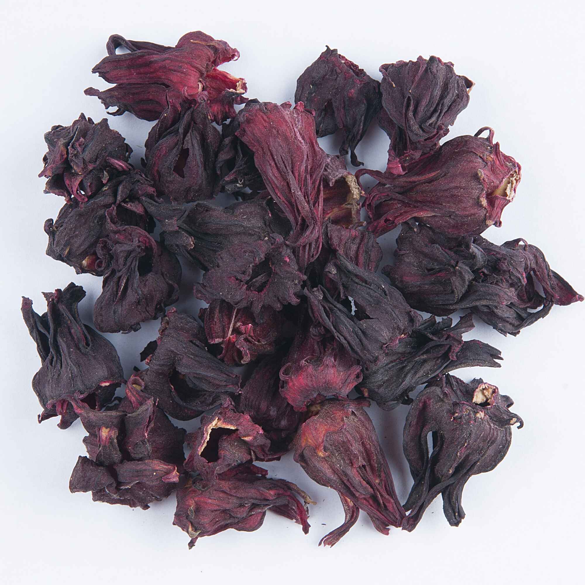 HIBISCUS BLOOMS HIBISCUS BLOOMS